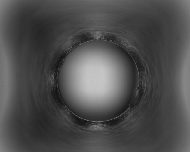 X0000085780611200703231247