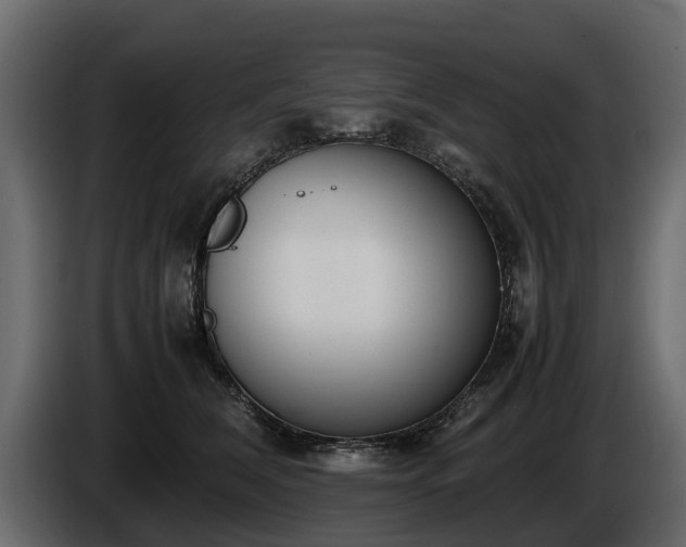 X0000085780612200703231247