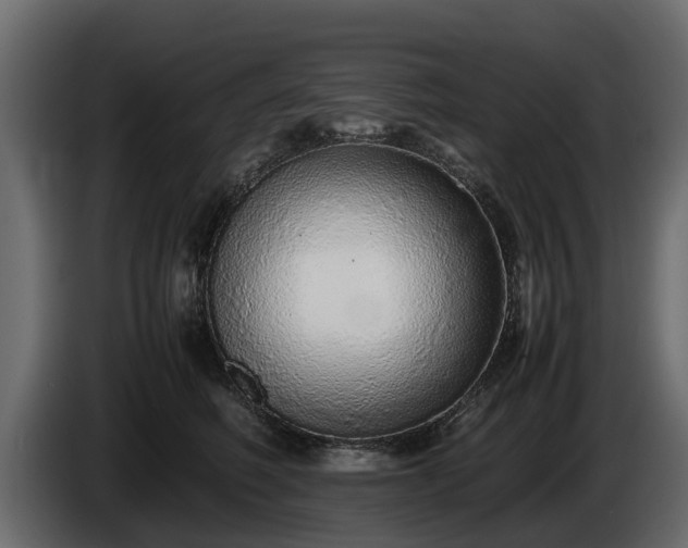 X0000085780614200703231247