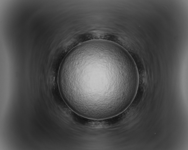 X0000085780615200703231247