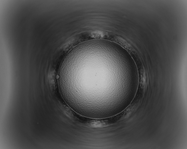 X0000085780616200703231247