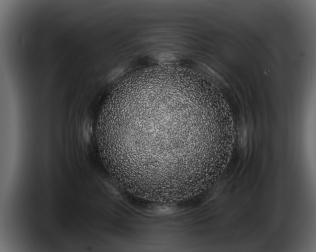 X0000085780618200703231247