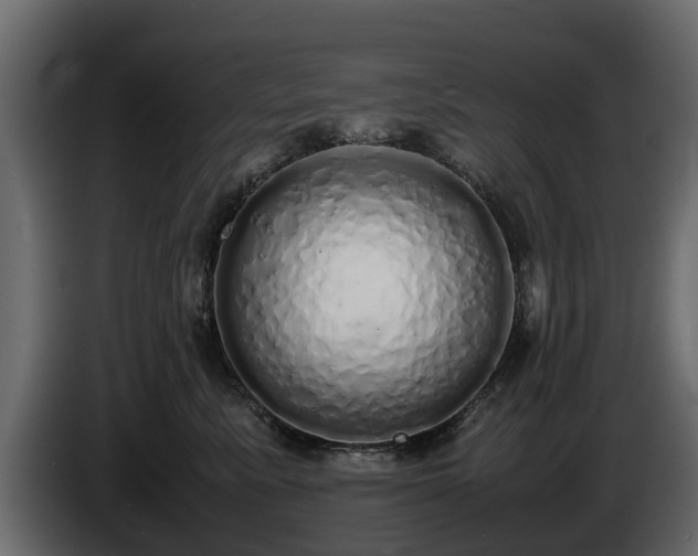 X0000085780619200703231247