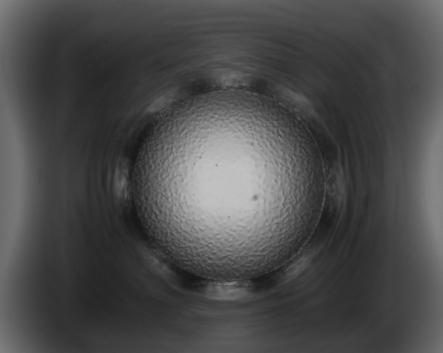 X0000085780622200703231247