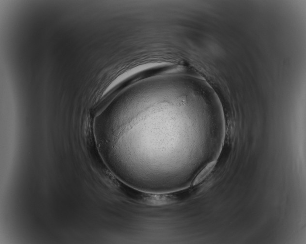 X0000085780623200703231247