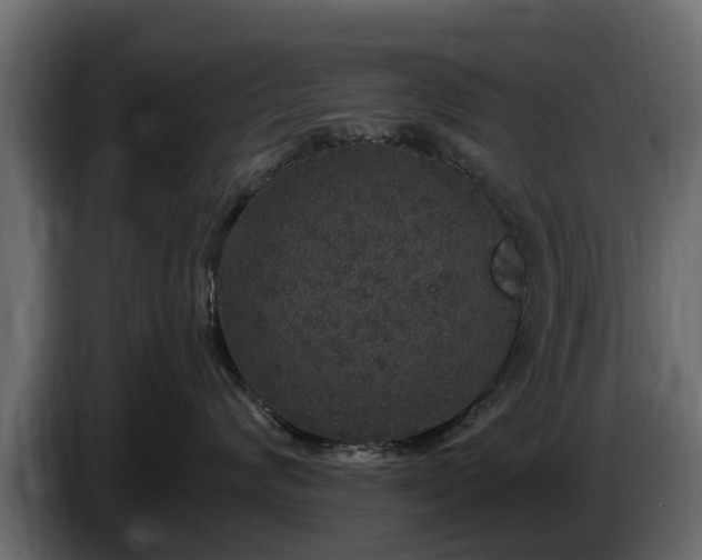 X0000085780624200703231247