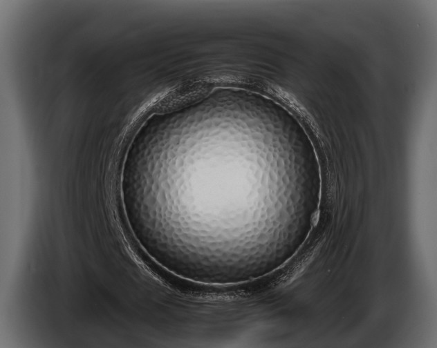 X0000085780625200703231246