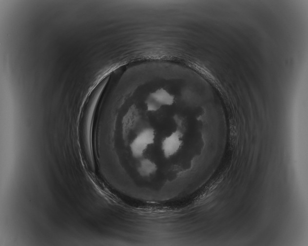 X0000085780626200703231246