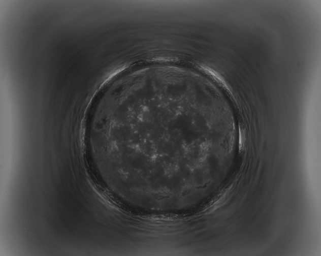 X0000085780627200703231246