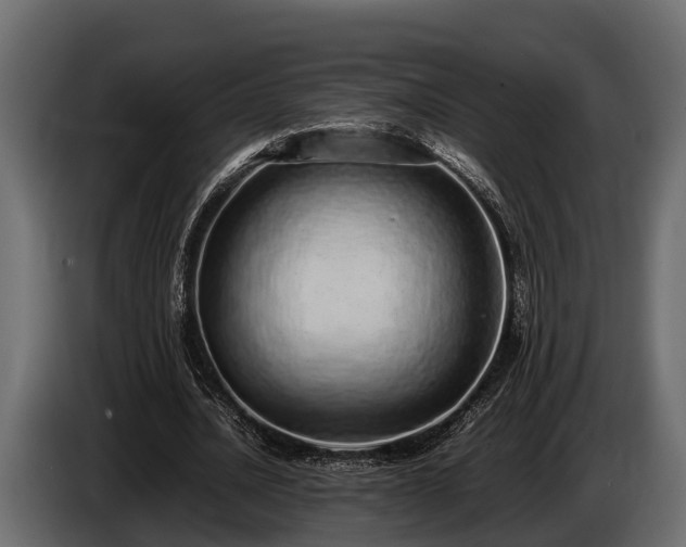 X0000085780628200703231246