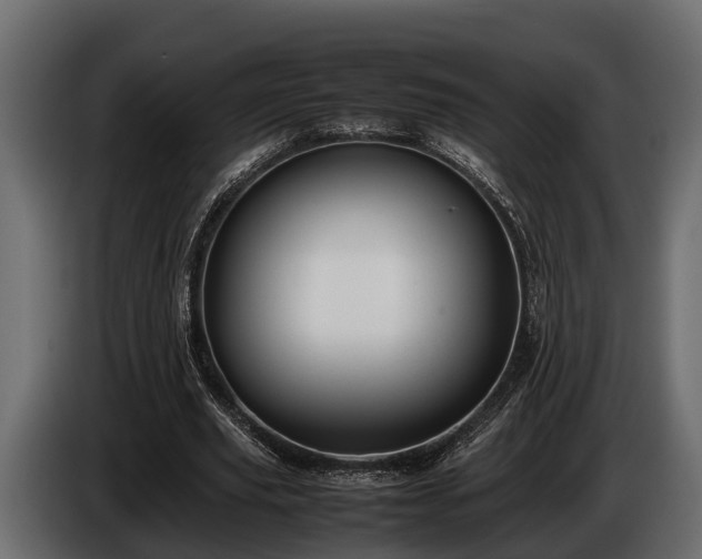 X0000085780629200703231246