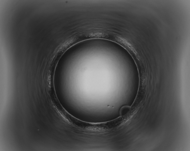 X0000085780633200703231246