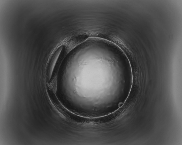 X0000085780634200703231246