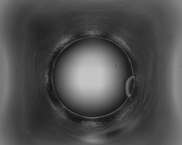 X0000085780635200703231246