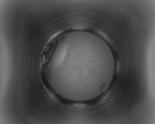 X0000085780636200703231247