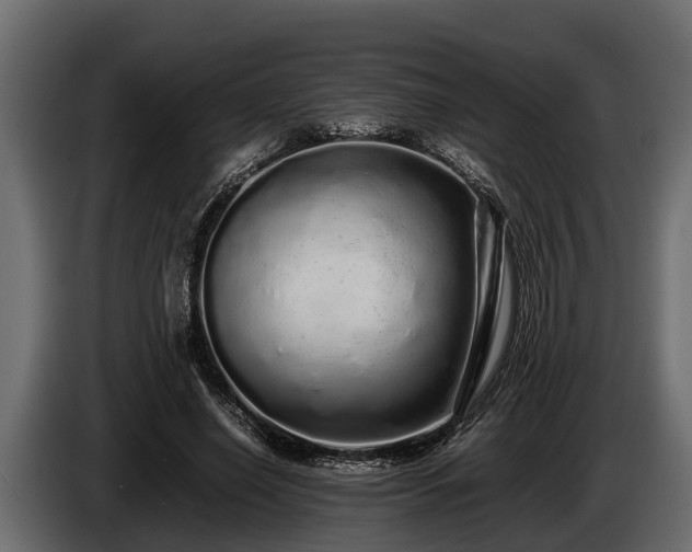 X0000085780638200703231247