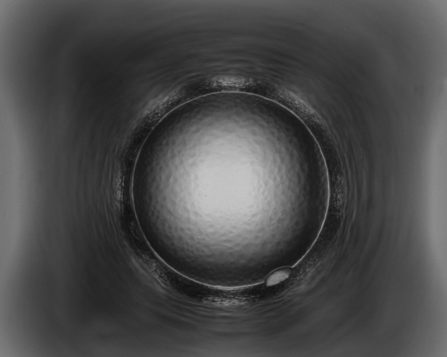 X0000085780639200703231247