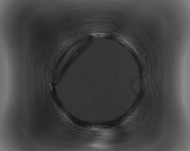 X0000085780641200703231247