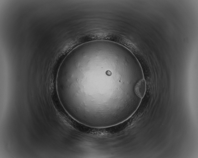 X0000085780642200703231247