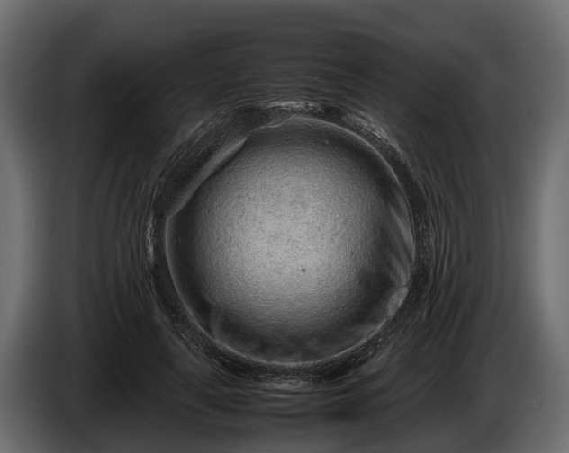 X0000085780643200703231247