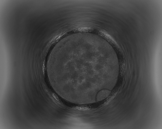 X0000085780644200703231247