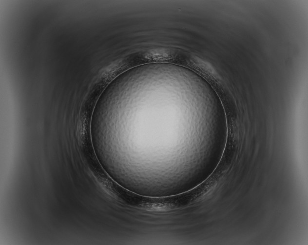 X0000085780645200703231247