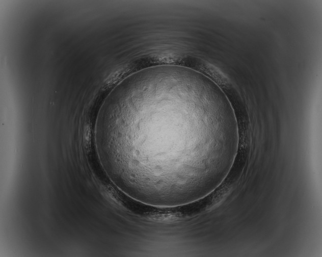 X0000085780646200703231247