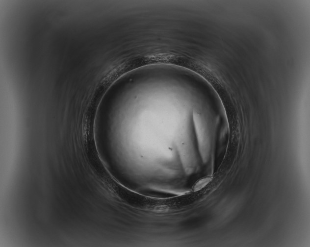 X0000085780647200703231247