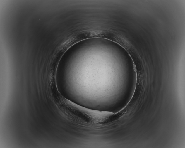 X0000085780648200703231247