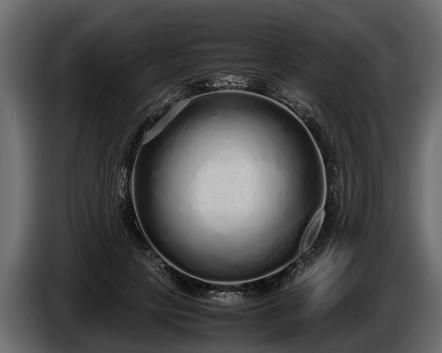 X0000085780649200703231247