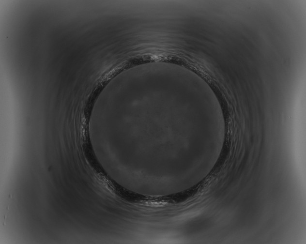 X0000085780650200703231247