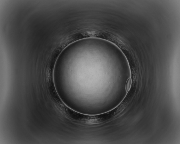 X0000085780651200703231247