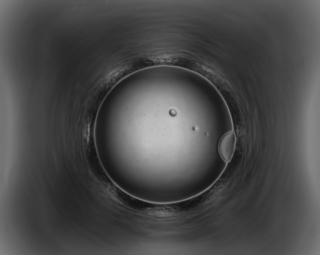 X0000085780652200703231247