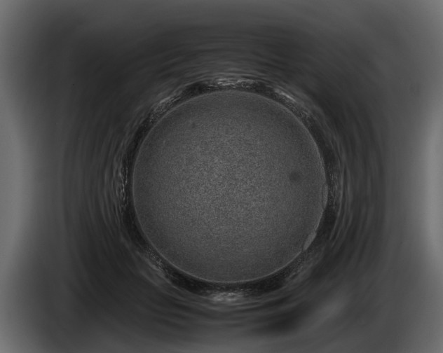 X0000085780653200703231247