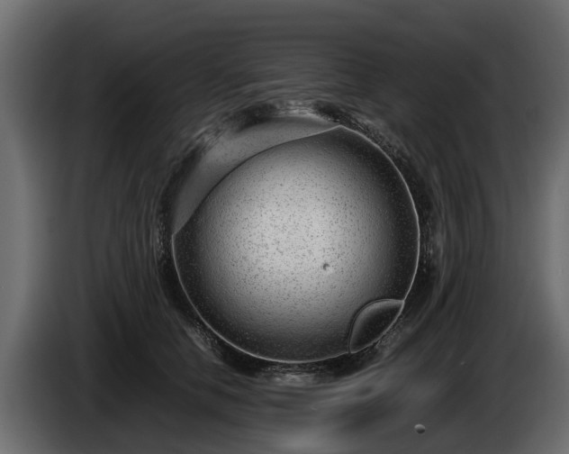 X0000085780658200703231247