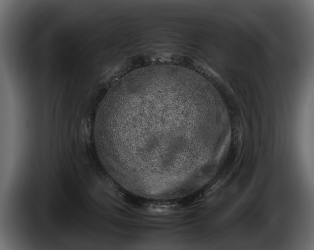 X0000085780661200703231247