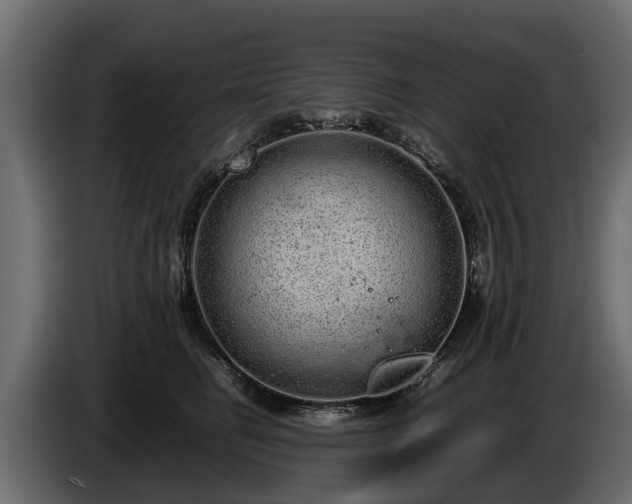 X0000085780662200703231247