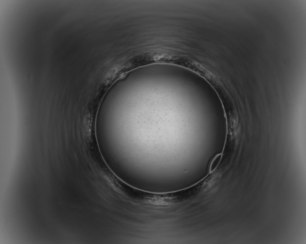 X0000085780664200703231247