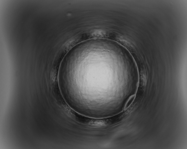 X0000085780665200703231247