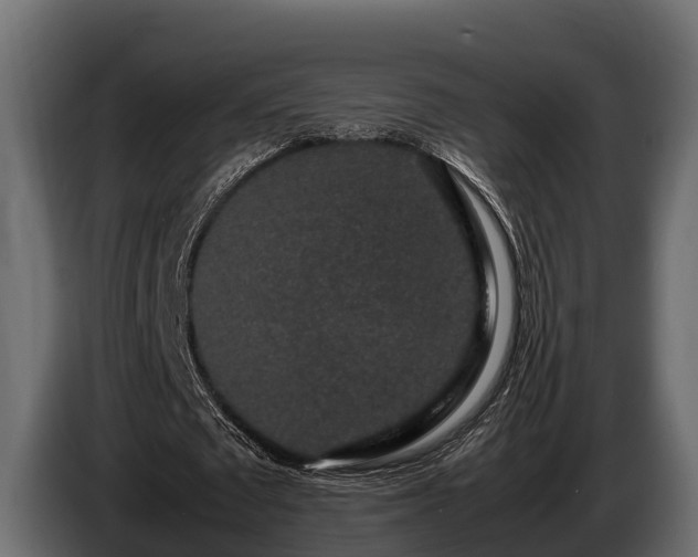 X0000085780673200703231246