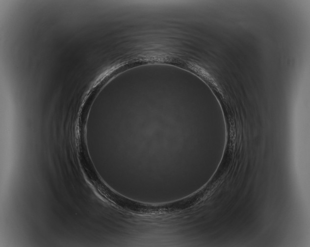 X0000085780674200703231246