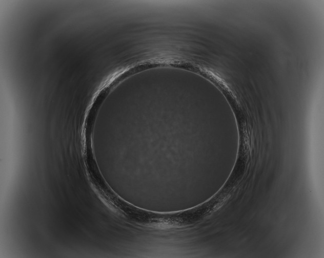 X0000085780678200703231246