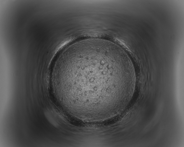 X0000085780679200703231246