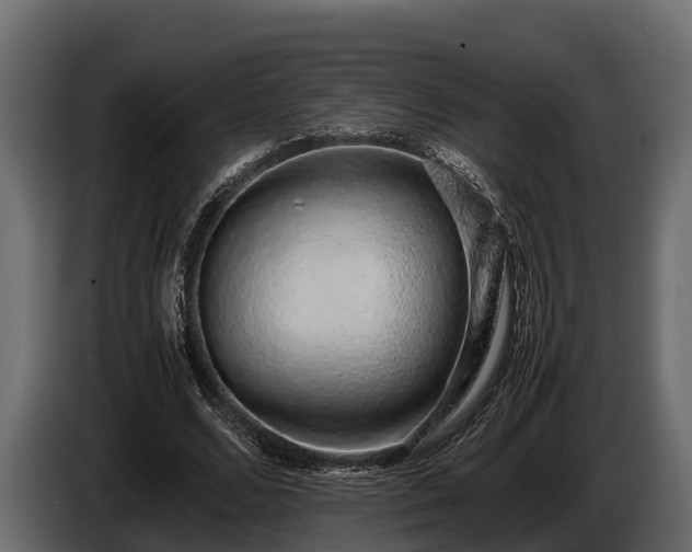 X0000085780680200703231246