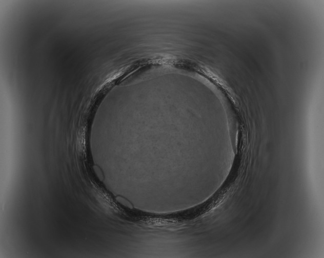 X0000085780681200703231246