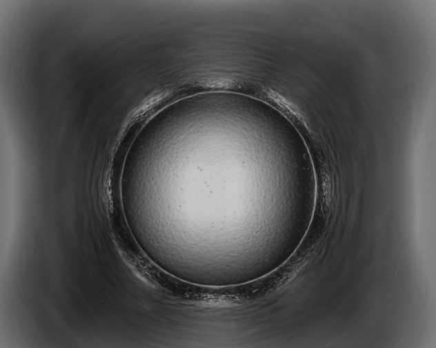 X0000085780682200703231246