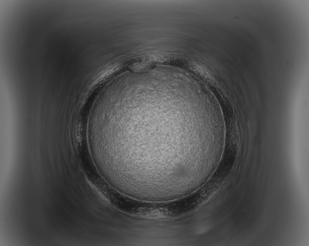 X0000085780683200703231246