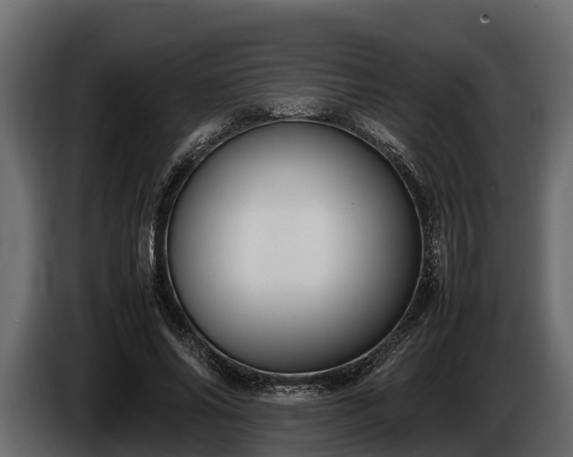 X0000085780686200703231246