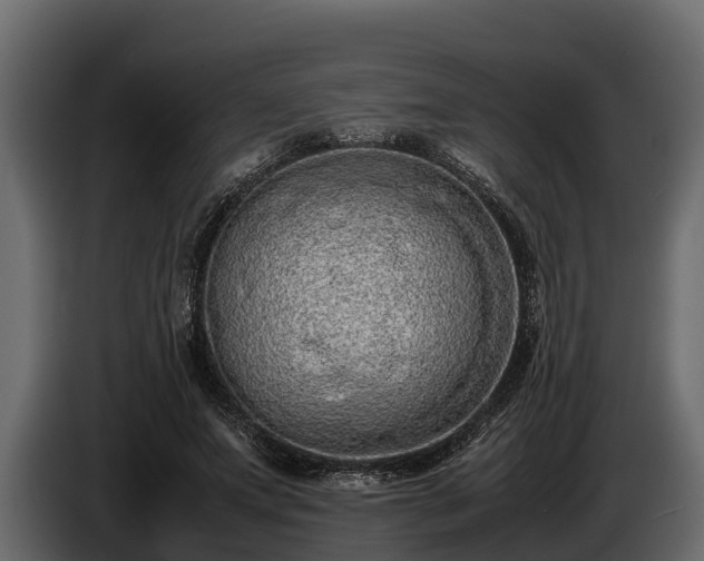 X0000085780687200703231246