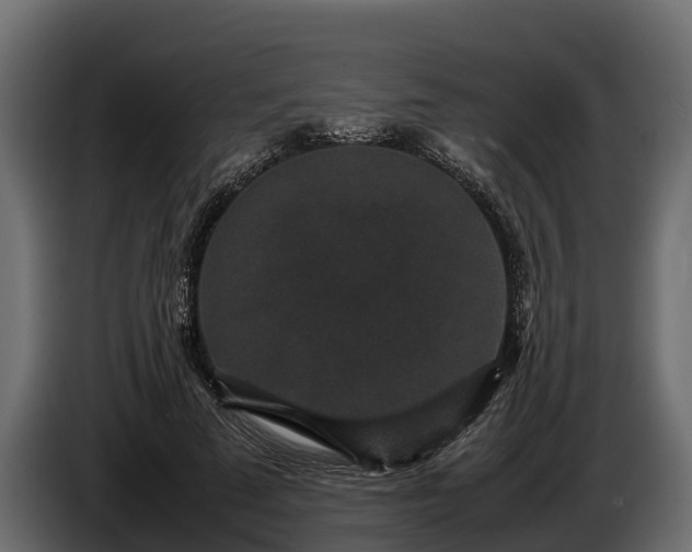 X0000085780689200703231246